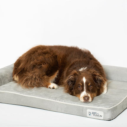 PetFusion Memory Foam Dog Bed (The BetterLounge) (Large 36x28x6")