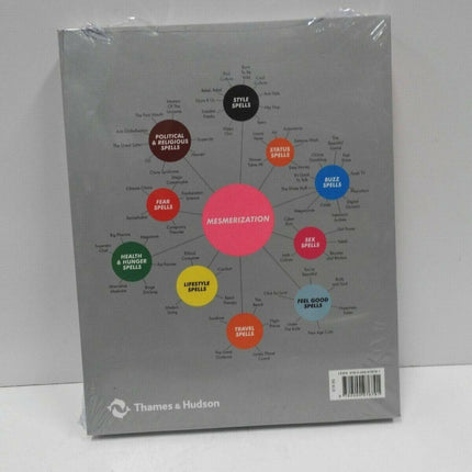 Mesmerization: The Spells that Control Us: Why We are Losing Our Minds to Global