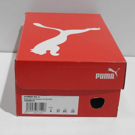 PUMA Hybrid NX JR Boys Outdoor Multisport Training Shoes, Milky Blue-Calypso 5US