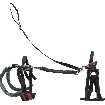 PetSafe CareLift Support Harness - Full Body Lifting Aid with Handle and Shoulde