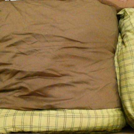 Coleman 2000032181 Big Game C-6 Sleeping Bag - Olive