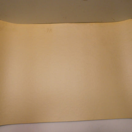 Caroline's Treasures 8766CMT Sunflower Kitchen or Bath Mat 20" by 30" Multi