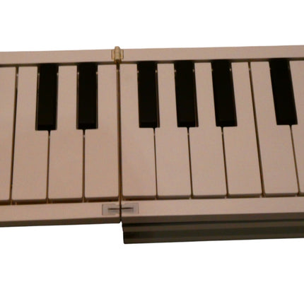 Blackstar Carry-on Folding Piano by | 88 Keys Portable Piano with Built in USB R