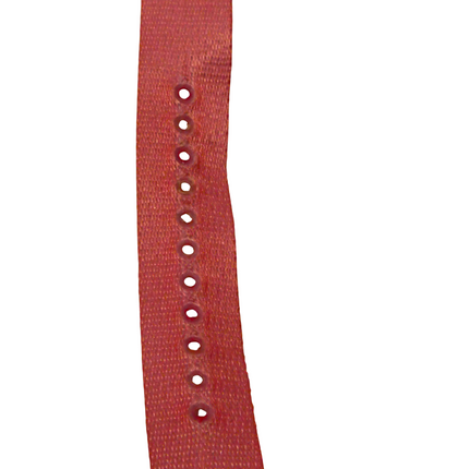 Disney Kids W001803 Princess Stainless Steel Plain Case With Printed Strap Watch