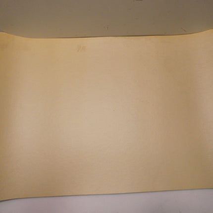 Caroline's Treasures 8766CMT Sunflower Kitchen or Bath Mat 20" by 30" Multi